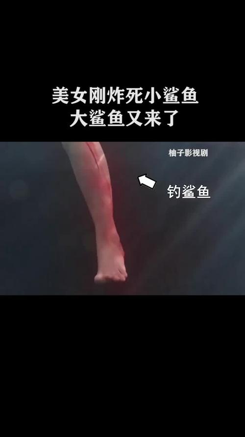 美女刚炸死小鲨鱼,大鲨鱼又来了