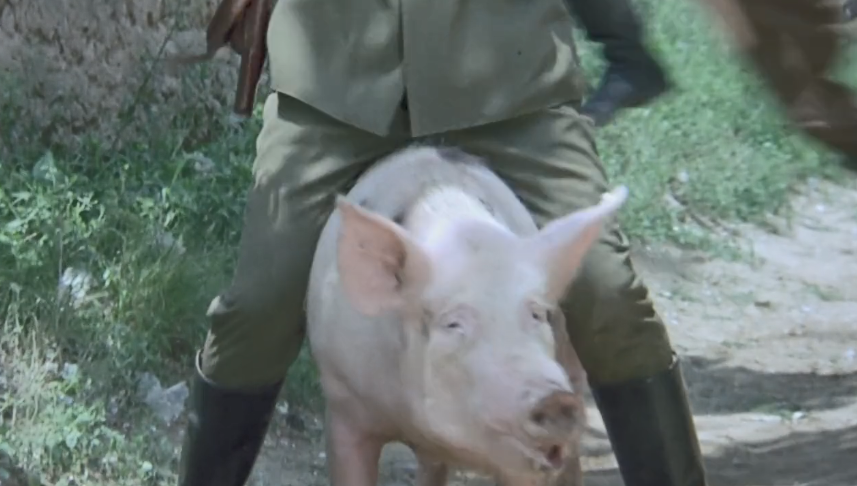 原来《云南虫谷》遮龙寨族长扮演者"骑过猪"