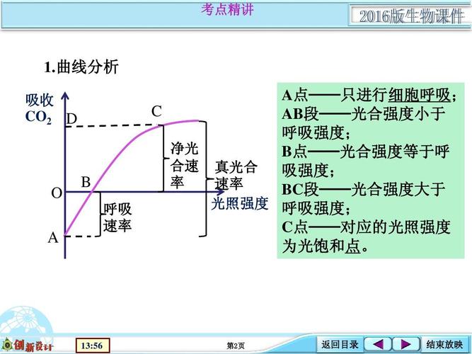 复习配套课件:考点能力提升类:1-3-07 真光合速率和净光合速率答案ppt