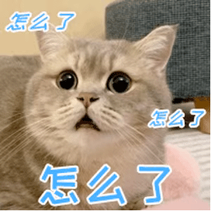 表情包怎么了怎么了