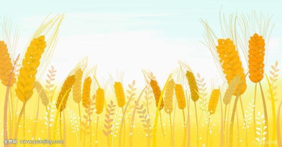 儿童简笔画麦田