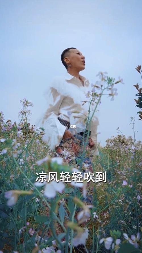 蓝兰《风的季节》_歌曲_歌曲分享_娱乐_音乐