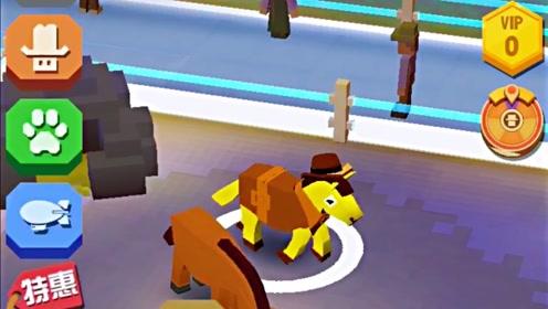 疯狂动物园:驯服"牛仔马"的方法,前提是要先驯服马