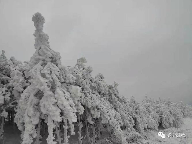威宁新城区雪景(杜应妮 摄) 北坡又聚集了大大小小的伙伴们 在这即将