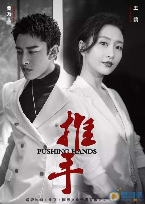 推手电视剧什么时候播哪个台播出
