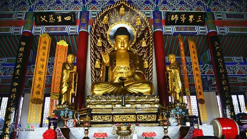 舒兰· 海慧寺风光