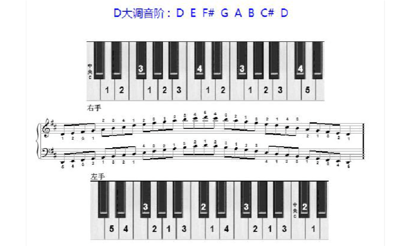 十二个大调音阶及左右手指法图示