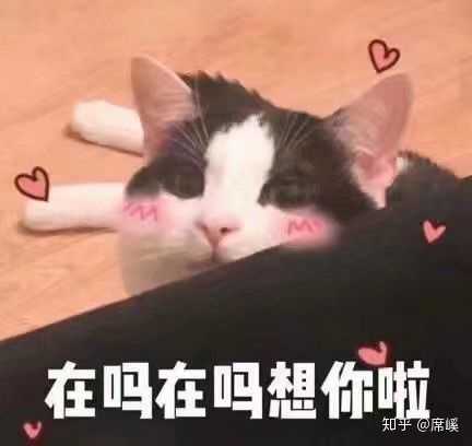 有哪些恋爱中和男友撒娇用的可爱表情包?