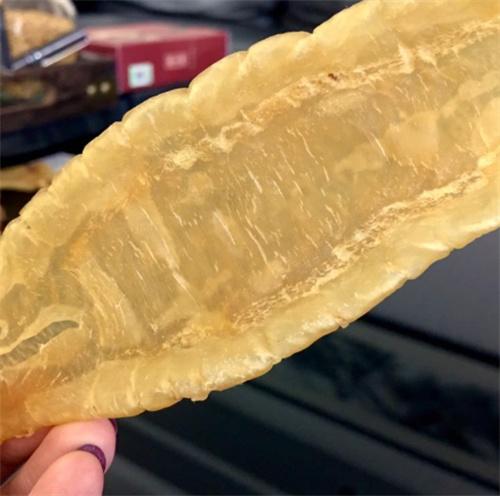 回收期价格表一览> 粤鸿回收鱼胶系列:蜘蛛鱼胶,白花鱼胶,赤嘴鳘鱼胶