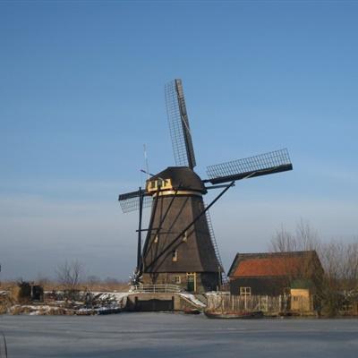 头像图片大全风车