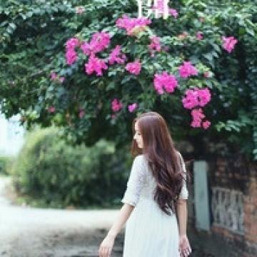 若非枝头没了牵挂, 落花岂会无情飘下,女生头像图片