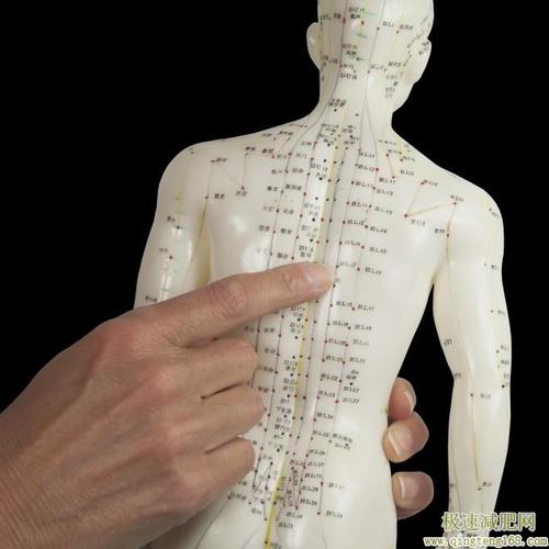 针灸减肥穴位图,针灸减肥扎哪些部位