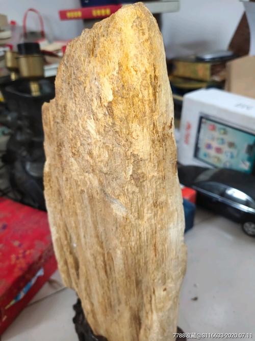 玉,化石!摆件一个,仔细看图片,自鉴!