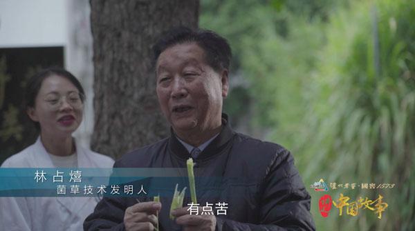 中国草全球种菌草技术发明人林占熺