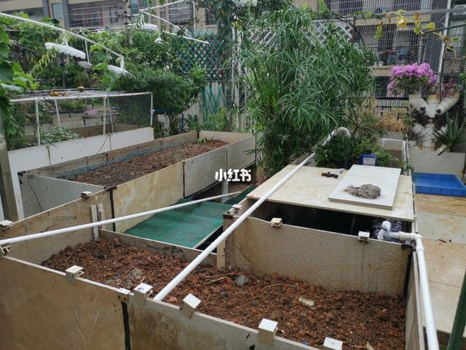 楼顶自建龟池第三个池了,更完善了_家装_家居_家居装饰_家居家装_家居