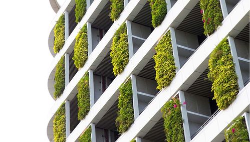 项目概况:金迪世纪大厦外墙垂直绿化工程力求体现建筑外墙的合理利用