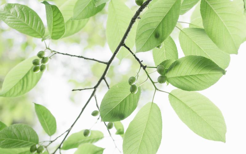 简约小清新唯美治愈系意境壁纸,高清壁纸,唯美,小清新,简约,治愈,意境