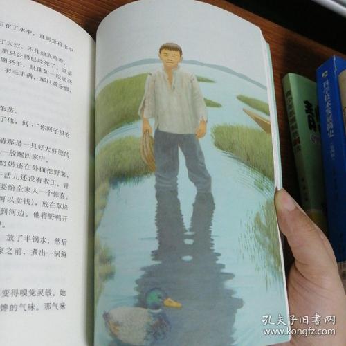 青铜葵花(世界著名插画家插图版)