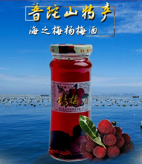 普陀山杨梅酒正宗普陀山特产舟山杨梅酒烧酒250ml梅子酒低度酒养生酒