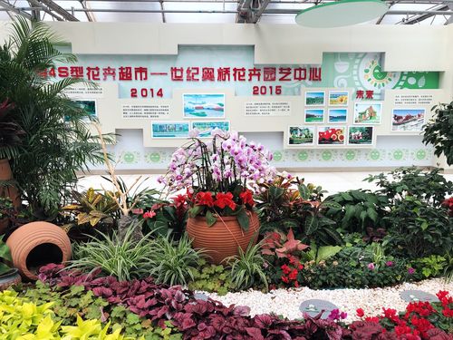 北京花卉大观园与世纪奥桥花卉园艺中心