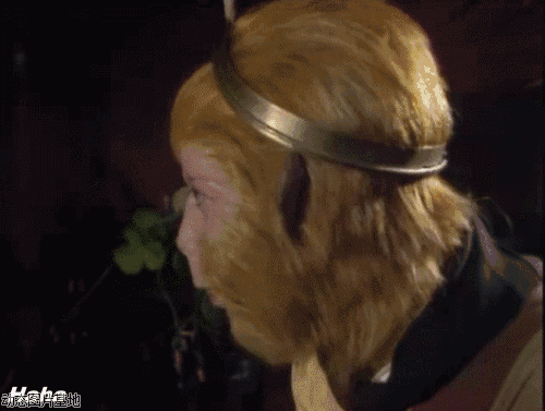 而感觉越来越多的"孙悟空"出现在桂林各大商业街.