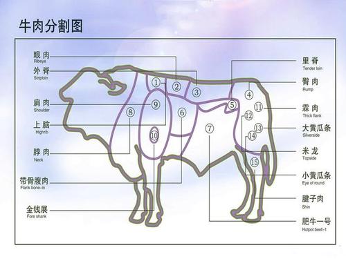 吃牛肉有学问:牛身上哪个部位好吃?各自适合什么烹饪