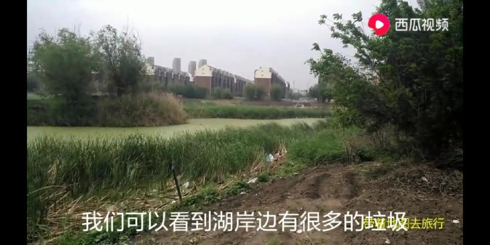 长春市绿园雁鸣湖湿地