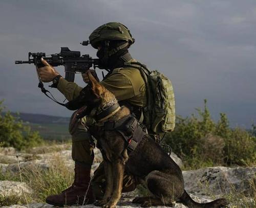 以色列国防军(idf)