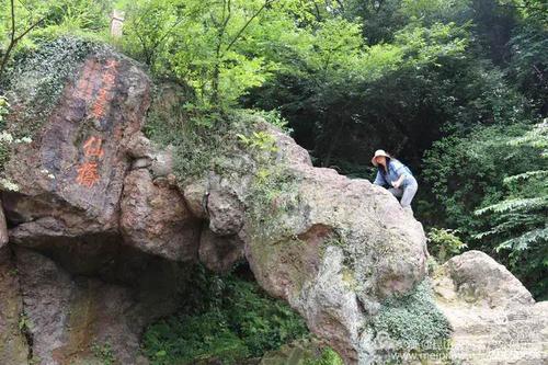 苏州大阳山登山徒步一日游