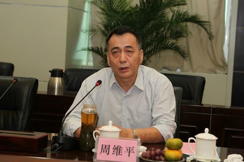 周维平