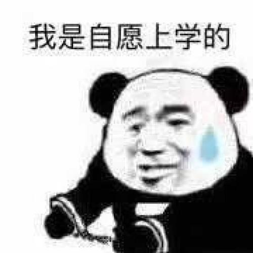 真的全是我自愿的
