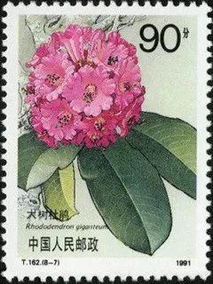 你家有这样的花卉邮票吗?
