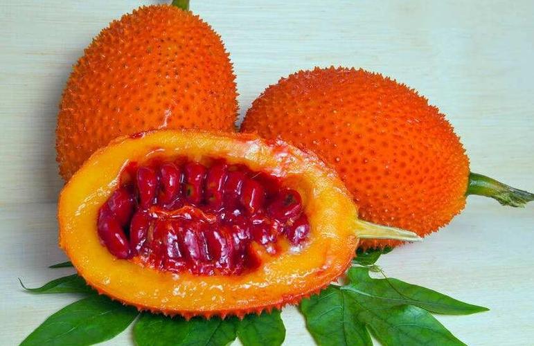 木鳖子治心脏病偏方