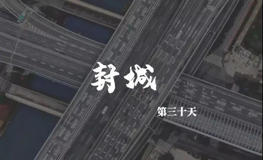 武汉封城30天记录丨春已至天将明