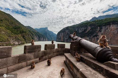 重庆奉节白帝城:三峡著名游览胜地