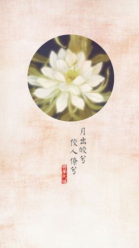 昙花 壁纸 古风 将琴代语出品 (花图素材非原创,侵删)