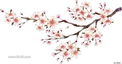 手绘桃花桃树花朵花枝png免扣素材