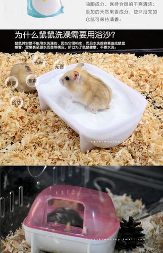 仓鼠浴沙宠物沐浴洗澡清洁用品杀菌小宠厕所香味除臭防臭套装_7折现价