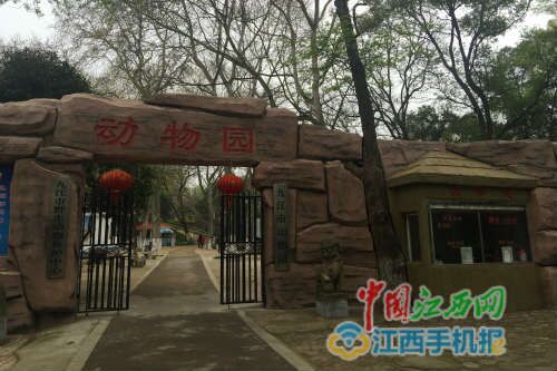 九江市动物园擅自新增收费项目 物价局称将查处(组图)