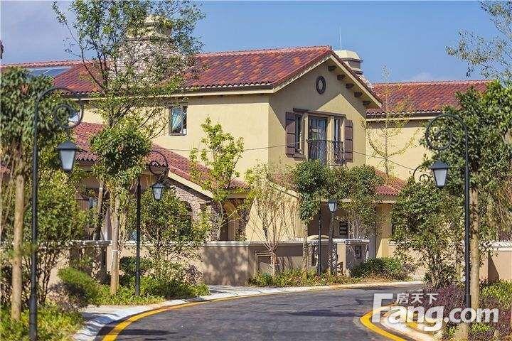 (出售) 城市公园别墅 泊林城 清水合院 双车位 不限够