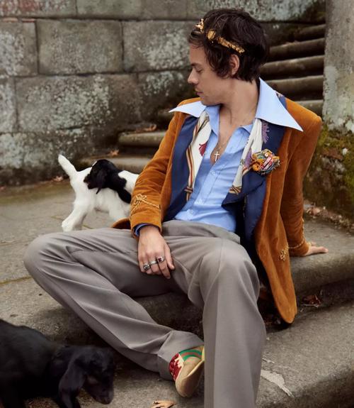 harrystyles哈卷化身小王子出镜gucci广告怀抱小羊羔带来萌力暴击