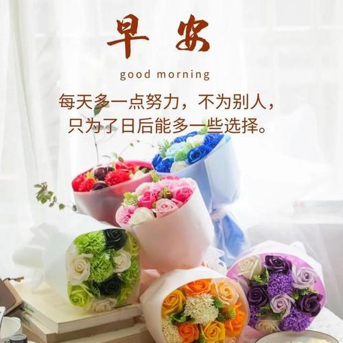 早上好漂亮的图片问候祝福语动图 早安的问候语暖人心
