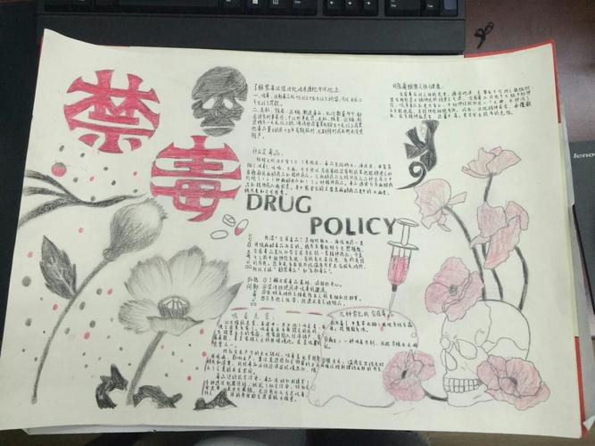 贵阳市南明区中小学2017年禁毒手抄报作品集(初中)