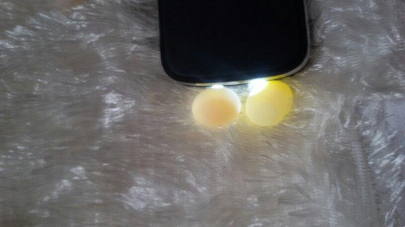 为什么我的虎皮鹦鹉受精蛋蛋黄是一个橙的一个是黄的