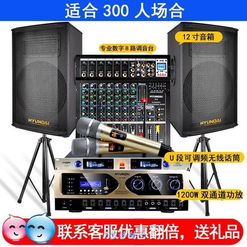 音响演出专用专业音响设备舞台家里ktvktv