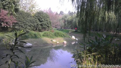 堤角公园(武汉)