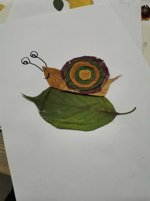 还有蜗牛,和乌龟谁先到家呢?