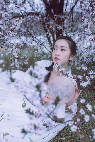 蝶恋花 雨霰疏疏经泼火