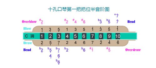 天鹅正品布鲁斯口琴10孔20音方形十孔初学演奏入门口琴限区包邮