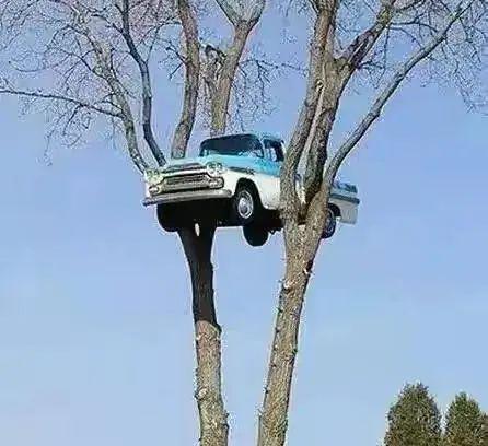 你见过哪些奇葩车祸这些车祸保证让你大开眼界